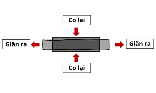 Bài 5. Biến Dạng Là Gì? Khái Niệm, Công Thức & Ví Dụ Thực Tế Bài 5. Biến Dạng Là Gì? Khái Niệm, Công Thức & Ví Dụ Thực Tế